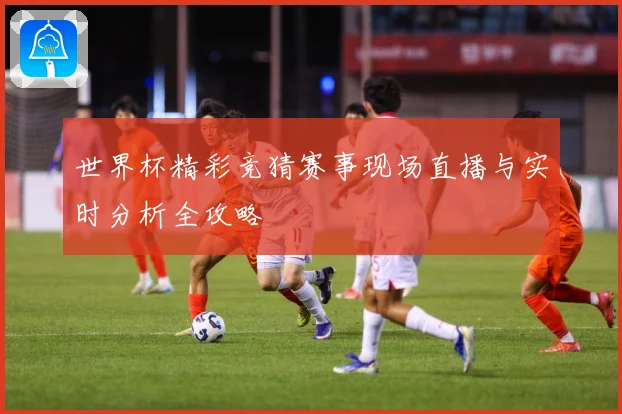 世界杯精彩竞猜赛事现场直播与实时分析全攻略