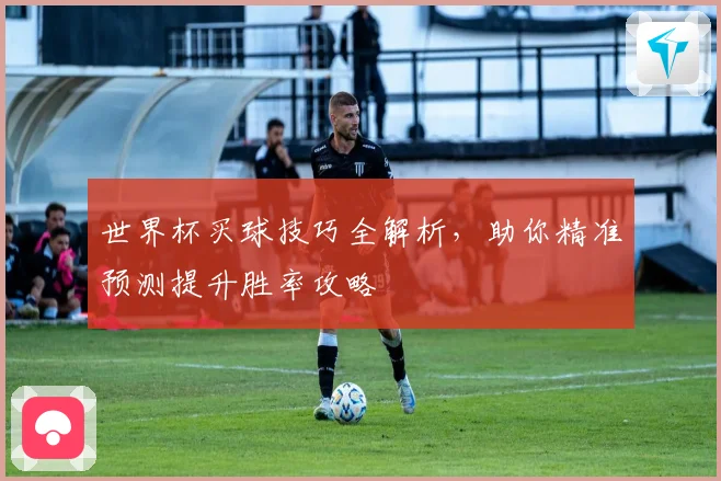 世界杯买球技巧全解析，助你精准预测提升胜率攻略