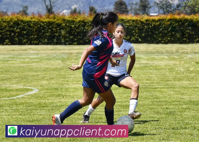 开云平台展示图